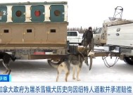 加拿大政府为上世纪五六十年代大规模屠杀当地居民的雪橇犬而道歉